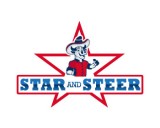 https://www.logocontest.com/public/logoimage/1602403146star and steer.jpg